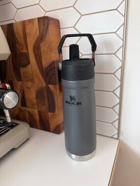 Stanley Gray Travel Bottle with Black Lid